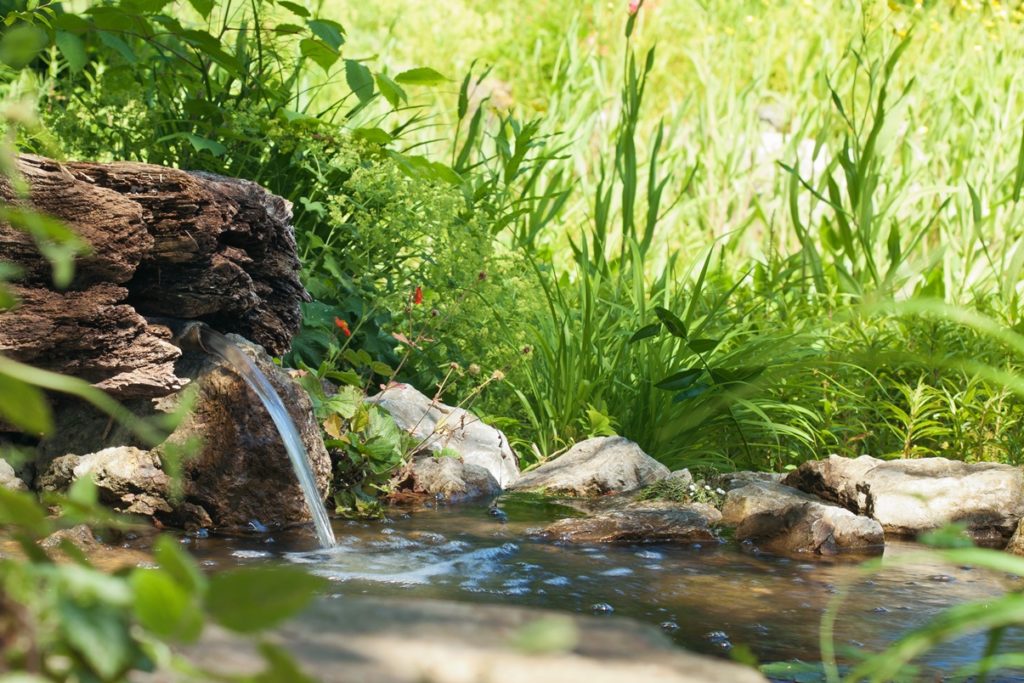 Water flowing from a spring